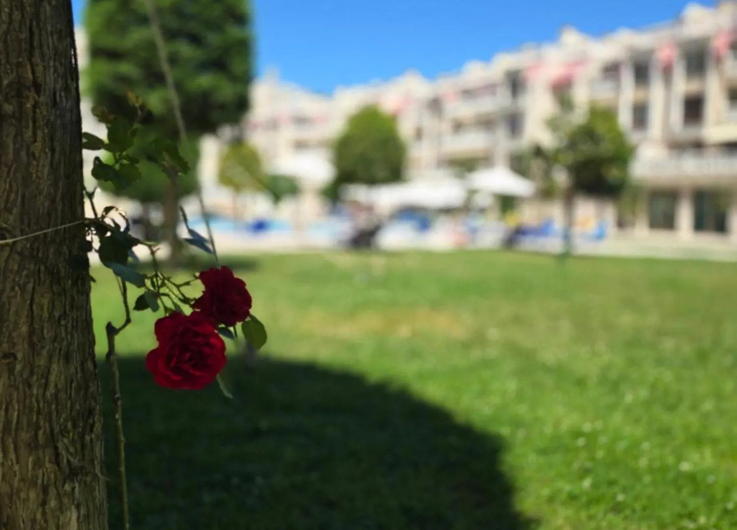 South Bay Apartment - Varna